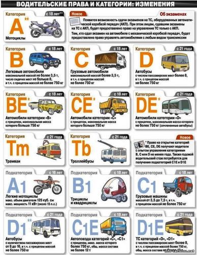 Автомобильный портал. Водительские категории